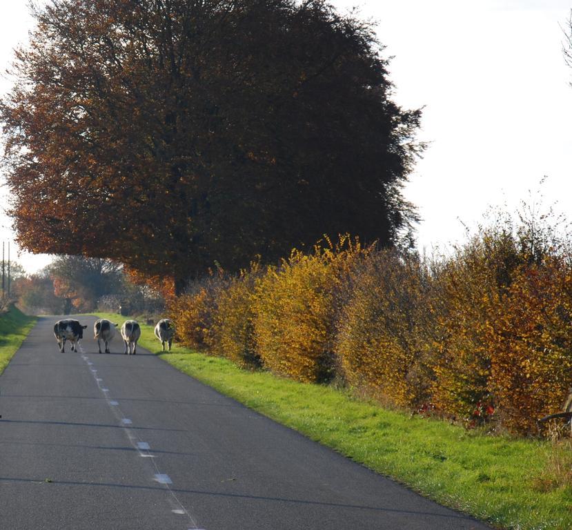B&B Le Renard Dormant Maissin Buitenkant foto